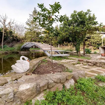 Masia Manent Del Bosc S Xviii בית כפרי *