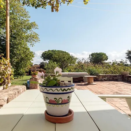 Masia Manent Del Bosc S Xviii בית כפרי Santa Eulalia de Ronsaná
